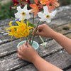 Kikkerland | Make Your Garden | ©Conscious Craft
